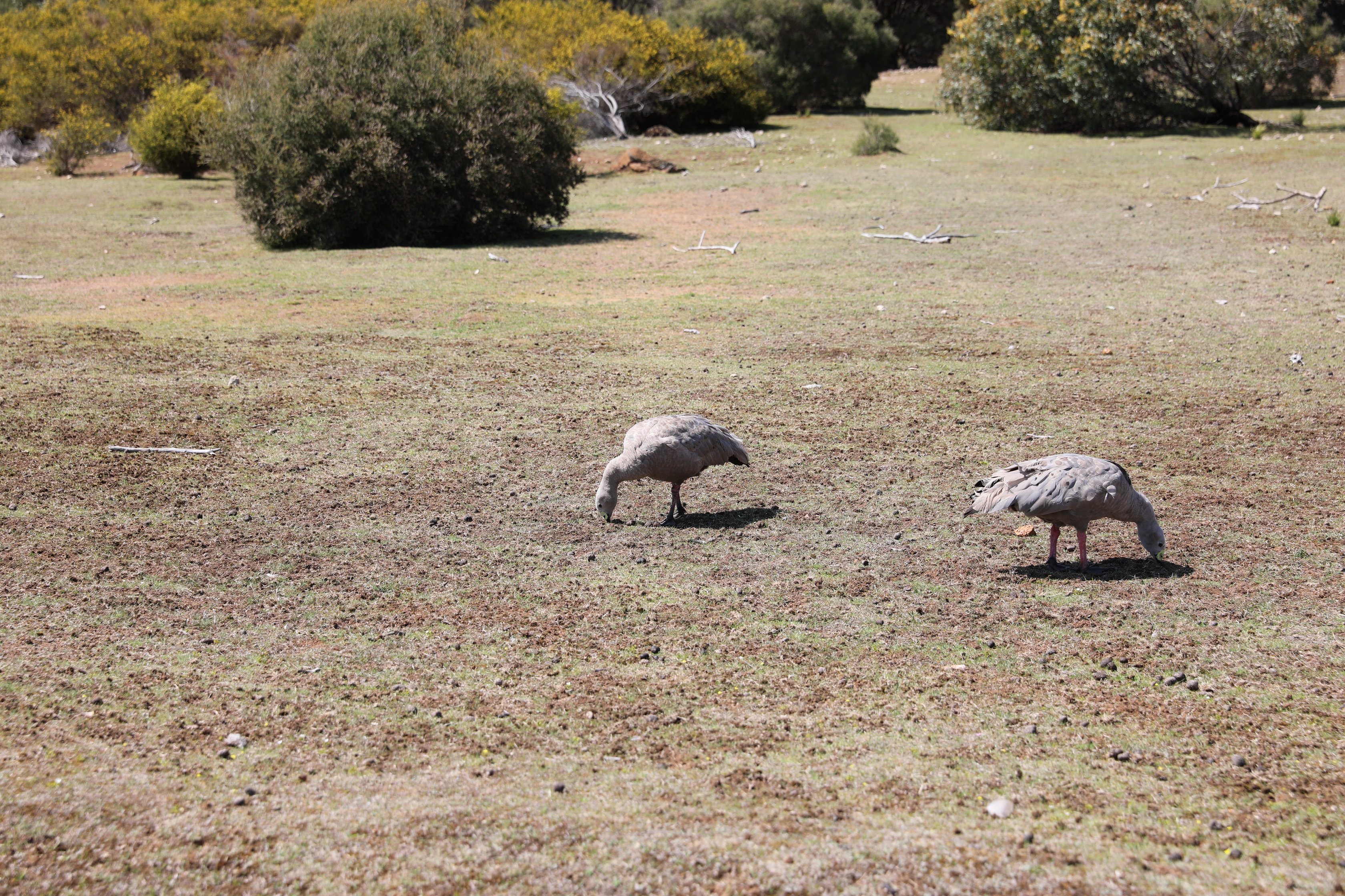 2019 10 01 12 09 05 Canon EOS 5D Mark IV 0015